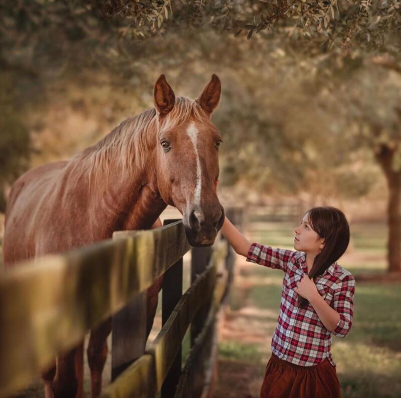 Photography with Havenly Farms' gentle horses